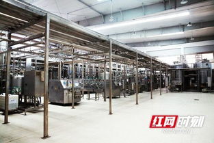 優(yōu)氏乳業(yè) 以“寧鄉(xiāng)智造”技術(shù)服務(wù)，助力國(guó)家學(xué)生飲用奶計(jì)劃，引領(lǐng)健康食品產(chǎn)業(yè)創(chuàng)新