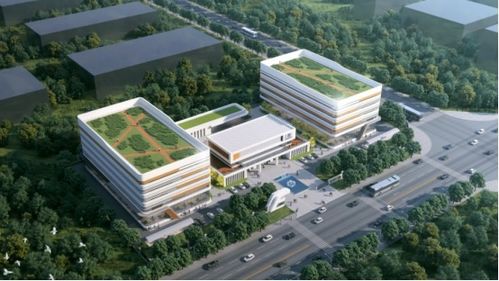 三十年專注，匠心鑄就生物科技新篇章——廣西博生生物抗體與功能蛋白的研發(fā)與應(yīng)用服務(wù)